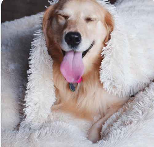 DeepSleep Calming Blanket™